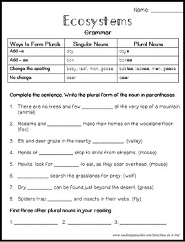 food chain worksheets by peas in a pod teachers pay teachers