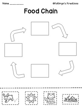 Food Chains by Kathryn's Kreations | TPT