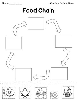 Food Chains by Kathryn's Kreations | TPT