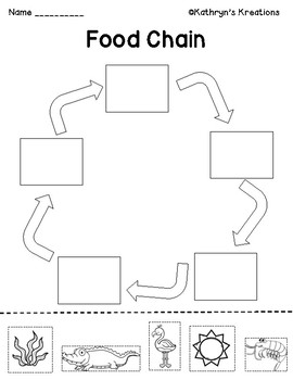 Food Chains by Kathryn's Kreations | TPT