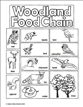 Food Chains Interactive Notebook by Miss Martin | TPT