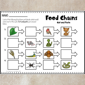 Food Chains Activities Bundle Pack by Create Your Own Genius | TpT