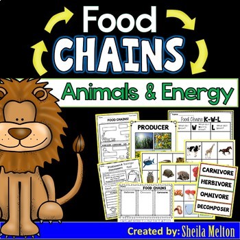 Preview of Food Chains (Animals and Energy) Activities, Printables, Picture Sorts