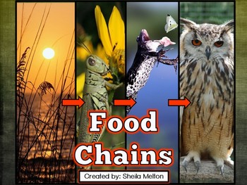 Preview of Food Chains PowerPoint (Animals, Energy and Food Chains) Life Science