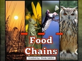 Food Chains PowerPoint (Animals, Energy and Food Chains) L