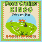 Food Chains BINGO & Memory Matching Card Game Activity