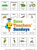 Food Chains Bundle - 1st to 3rd Grade (9 lessons)