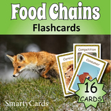 Food Chains Flashcards