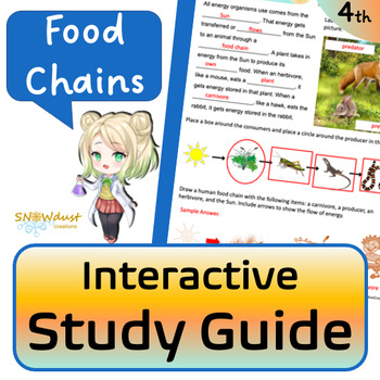 Preview of Food Chains - Florida Science Interactive Study Guide