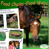 Food Chains - Food Webs