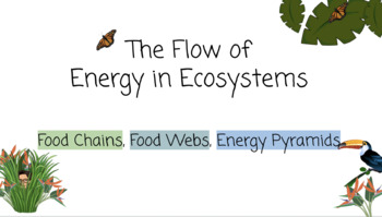 Preview of Food Chains, Food Webs, Energy Pyramid Google slide with Activities
