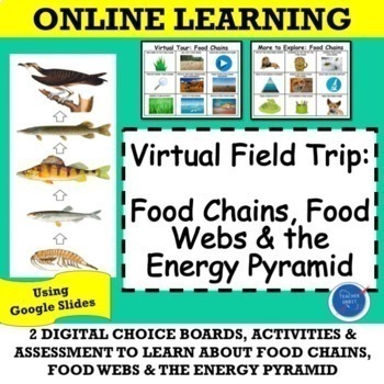 Preview of Food Chains Food Webs & Energy Pyramid Virtual Science Field Trip | Ecosystems