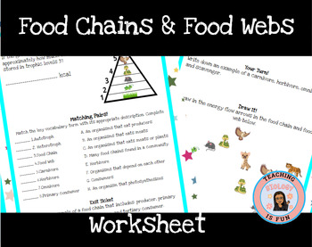 Preview of Food Chains Food Webs Energy Pyramids Biology