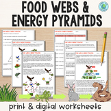 Food Chains, Food Webs, Energy Pyramids Guided Reading