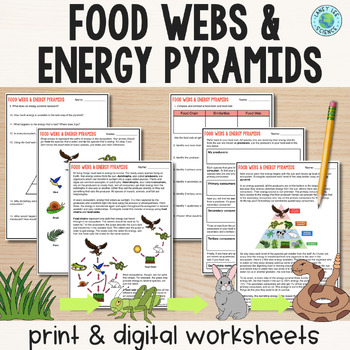 Preview of Food Chains, Food Webs, Energy Pyramids - Reading Comprehension Worksheets