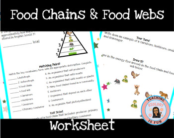 Preview of Food Chains Food Webs Guided Scaffolded Notes 9th grade Biology