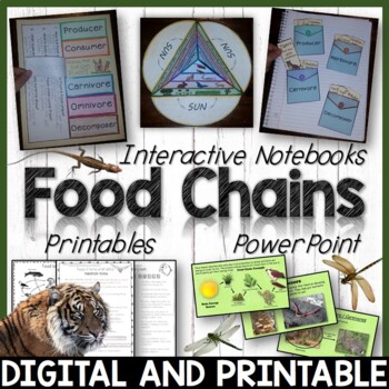 Preview of Food Chains & Food Webs, Producers, Consumers, Photosynthesis, Carnivores +