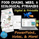 Food Chains, Food Webs, and Ecological Pyramids PowerPoint