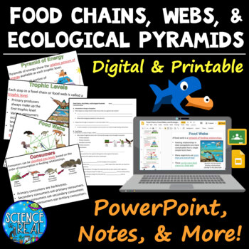 Preview of Food Chains, Food Webs, and Ecological Pyramids PowerPoint, Notes, and Qs