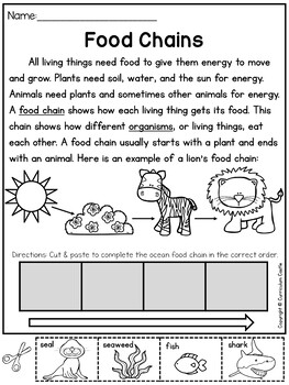 https://ecdn.teacherspayteachers.com/thumbitem/Food-Chains-Food-Webs-and-Ecosystems-Activities--8824361-1679922470/original-8824361-3.jpg