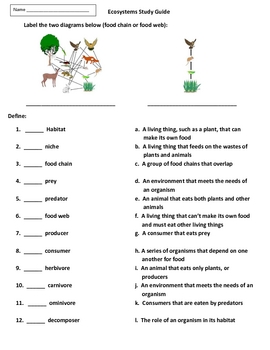 Preview of Food Chains, Food Webs, and Ecosystems Activities and Test