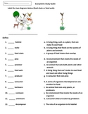 Food Chains, Food Webs, and Ecosystems Activities and Test