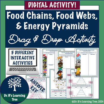 Food Chains, Food Webs & Energy Pyramids Drag & Drop Digital Activity ...