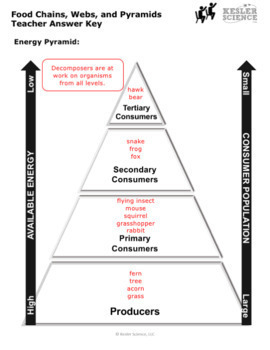 Food Chains Food Webs And Energy Pyramids Inquiry Labs By Kesler Science
