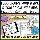 Food Chains, Food Webs, and Energy Pyramids Reading Compre
