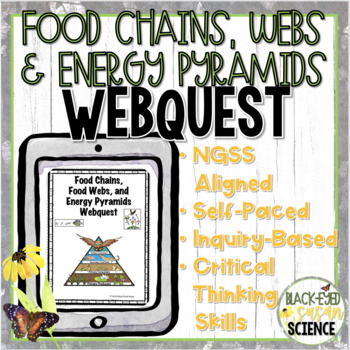 Preview of Food Chains, Food Webs, and Energy Pyramids WebQuest