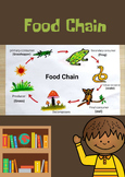 Food Chains, Food Webs bundle​ biology