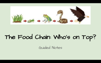 Preview of Food Chains Guided Notes Power Point