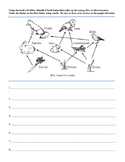 Food Chains In A Food Web