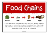 Food Chains Information Poster Set | Ecosystems