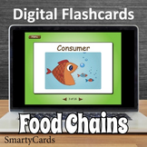 Interactive Food Chains Flashcards