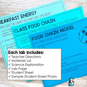 Food Chains Labs in a Snap | 3rd Grade Ecosystem Activities & Food Chain  Project