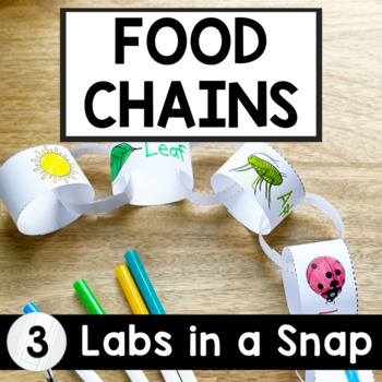 Preview of Food Chain Labs in a Snap | 3rd Grade | Food Chains Activity Craft Project