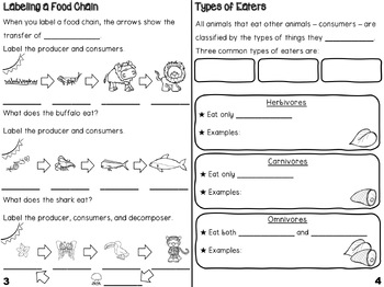 Food Chains Mini Book by Lighting Up Little Minds | TPT