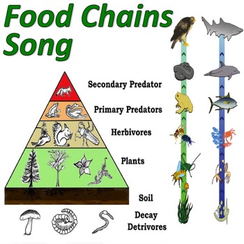 Food Chains! (Mr. W's Trophic Levels Music Video) by sciencemusicvideos