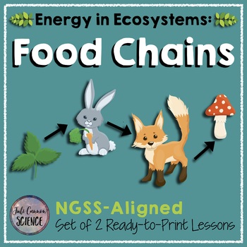 Preview of Food Chains (2 Lessons): Energy Flow in Ecosystems