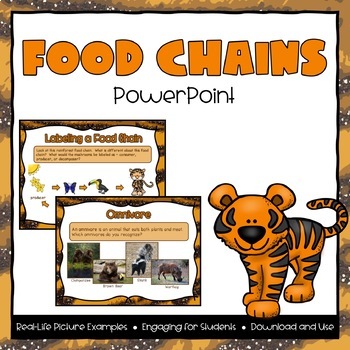 Preview of Food Chains Powerpoint