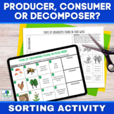 Producers and Consumers Organisms in Ecosystems Print & Di