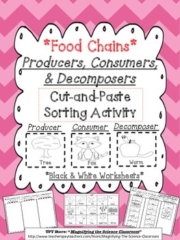 Preview of Food Chains Producers, Consumers, and Decomposers Cut and Paste Sorting Activity