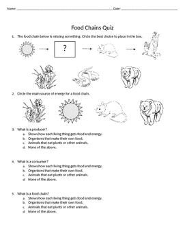 Food Chains Quiz by CraftyMsMendoza | Teachers Pay Teachers