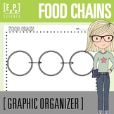 Food Chains Science Graphic Organizer Template