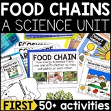 Food Chains Unit | Food Chain Cut & Paste Worksheets, Craf