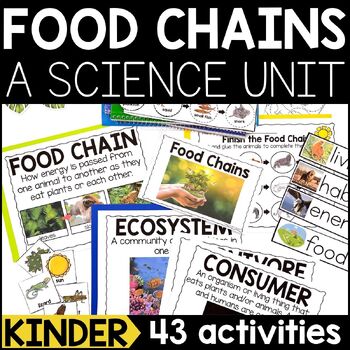 Preview of Food Chains Kindergarten Unit | Food Chain Activity Pack | Food Chain Worksheets