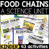 Food Chains Kindergarten Unit | Food Chain Activity Pack |