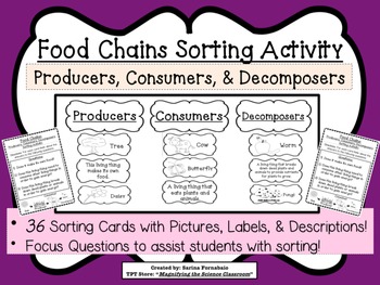 Preview of Food Chains Sorting Activity Game about Producers, Consumers, Decomposer CCSS