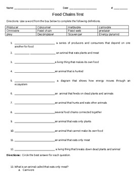 Food Chains Test - 3rd grade VA by Melissa Giageos | TpT